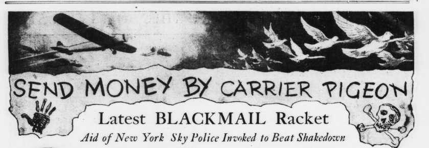 Headline reads: Send money by carrier pigeon: latest blackmail racket