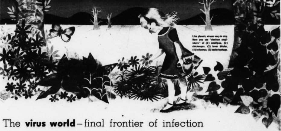Headline reads: the virus world: final frontier of infection